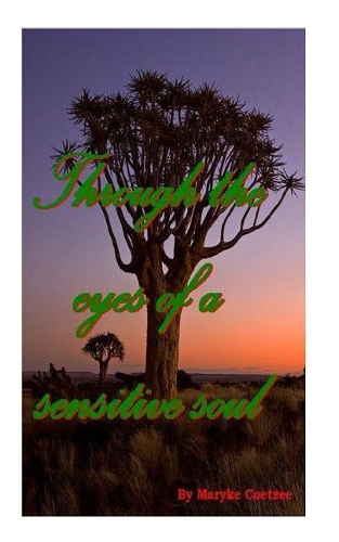 Through the Eyes of a Sensitive Soul