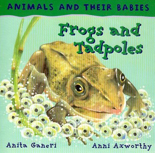 Frogs and Tadpoles