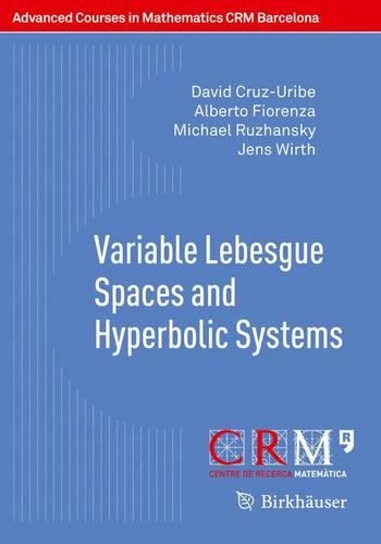 Variable Lebesgue Spaces and Hyperbolic Systems: (Advanced Courses in Mathematics - CRM Barcelona)