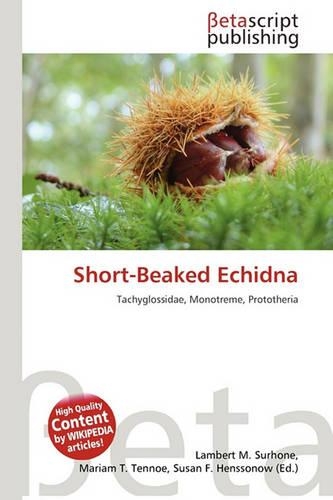 Short-Beaked Echidna