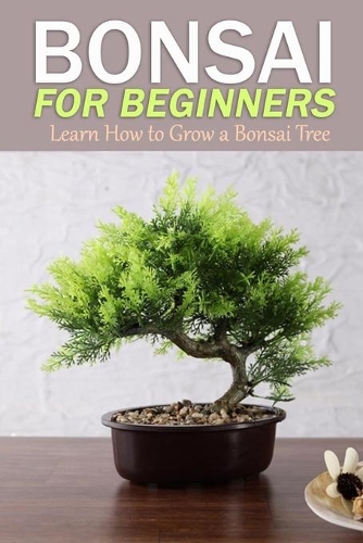 Bonsai for Beginners: Learn How to Grow a Bonsai Tree