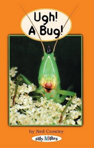 Ugh! a Bug!