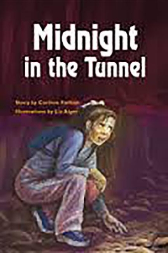 Rigby PM Plus Extension: Leveled Reader Bookroom Package Emerald (Levels 25-26) Midnight in the Tunnel(Rigby PM Plus Extension)