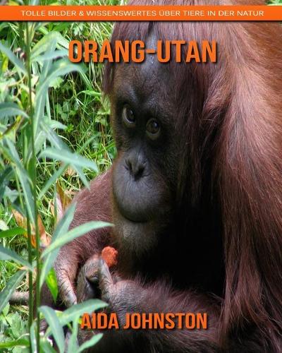 Orang-Utan