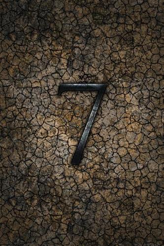 Monogram 7 Any Day Planner Notebook