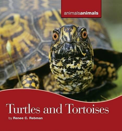 Turtles and Tortoises: (Animals, Animals)