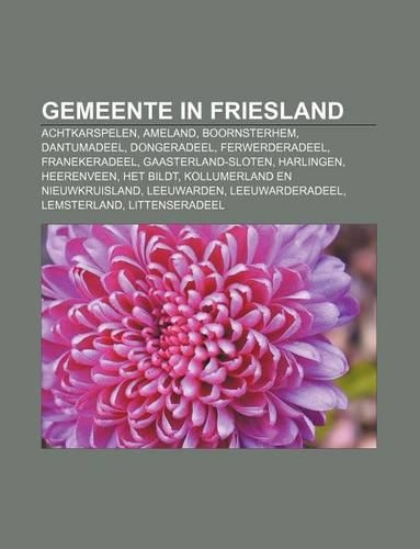 Gemeente in Friesland