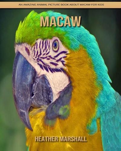 Macaw