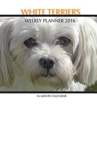 White Terriers Weekly Planner 2016: 16 Month Calendar(English)