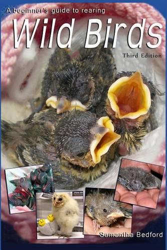 A Beginner's Guide to Rearing Wild Birds