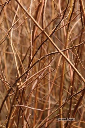 Journal Pages - In the Weeds (Bullet Journal)