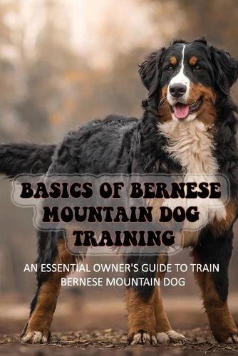 Basics Of Bernese Mountain Dog Training