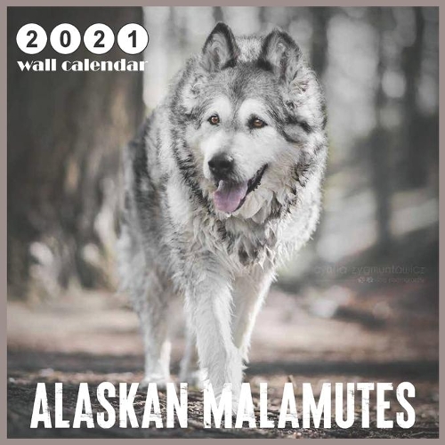 Alaskan Malamutes