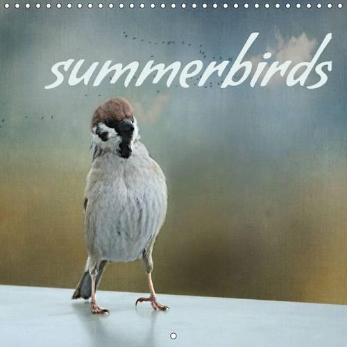 summerbirds 2016: Birds in summer(Calvendo Animals)