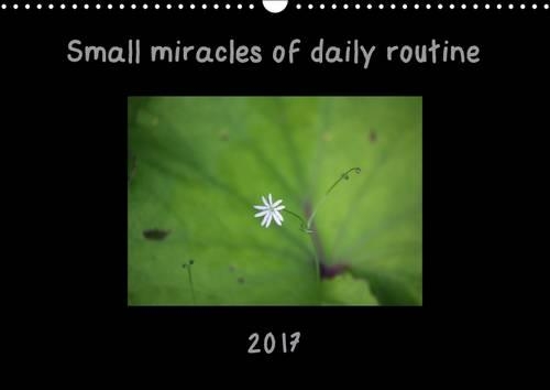 Small Miracles of Daily Routine 2017