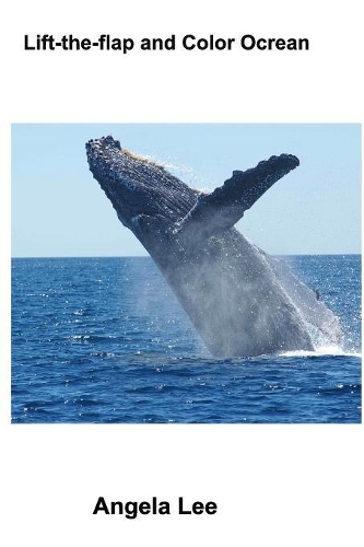 Lift-The-Flap and Color Ocean