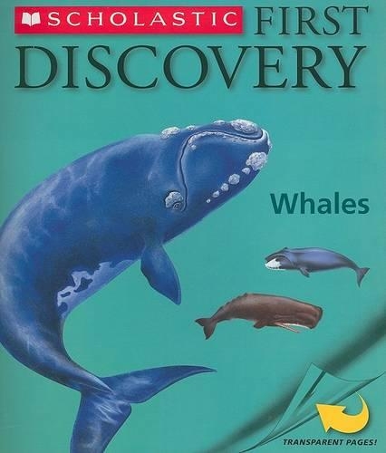 First Discovery Whales