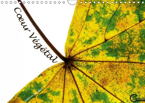 C÷ur Végétal 2019: Au c÷ur des feuilles d'automne(Calvendo Nature)