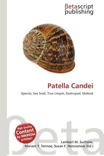 Patella Candei