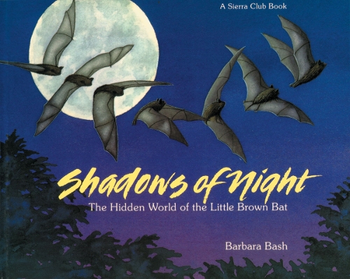 Shadows of the Night pb