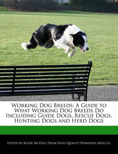 Working Dog Breeds