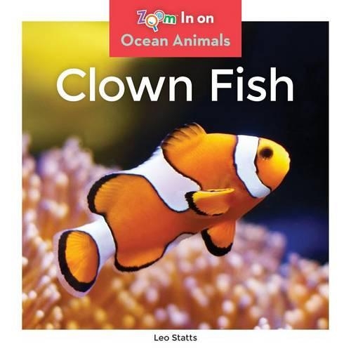 Clown Fish: (Ocean Animals)