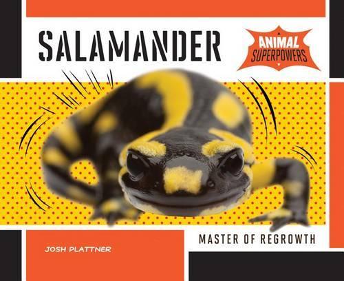 Salamander