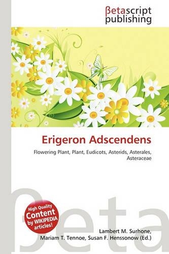 Erigeron Adscendens: (English)