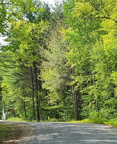School Composition Book Rural Road Spring Trees