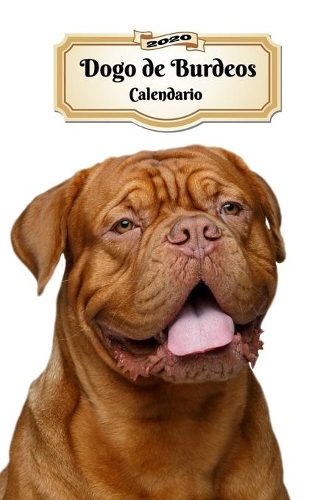 2020 Dogo de Burdeos Calendario