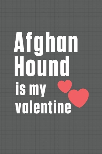 Afghan Hound is my valentine