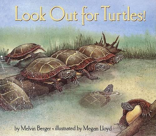 Look out for Turtles!: (Let's-read-and-find-out science book)