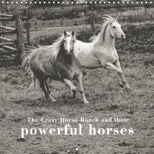 The Crazy Horse Ranch and their powerful horses 2015