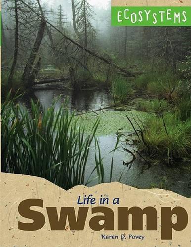 Life in a Swamp: (Ecosystems (Kidhaven))