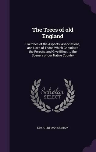The Trees of Old England: Sketches of the Aspects, Associations, and Uses of Those Which Constitute the Forests, and Give Effect to the Scenery of Our Native Country