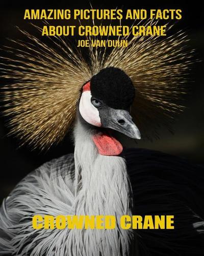 Crowned Crane: Amazing Pictures and Facts about Crowned Crane