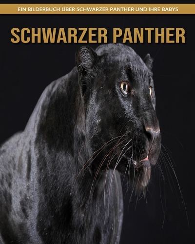 Schwarzer Panther