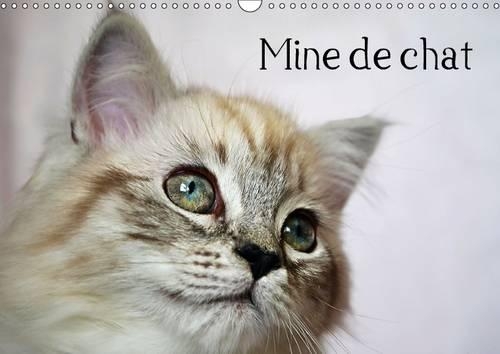 Mine de chat 2016