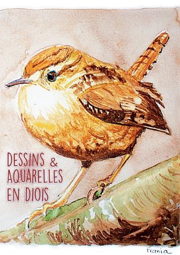 Dessins & Aquarelles en Diois