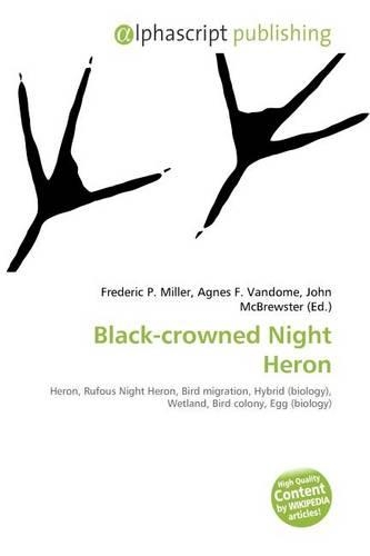 Black-Crowned Night Heron