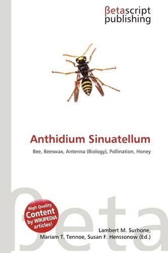 Anthidium Sinuatellum