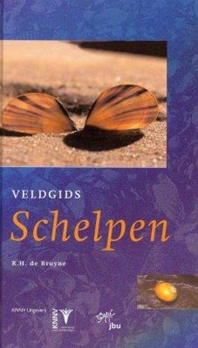 Veldgids Schelpen