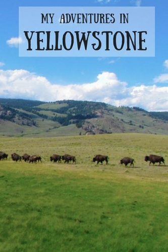My Adventures in Yellowstone