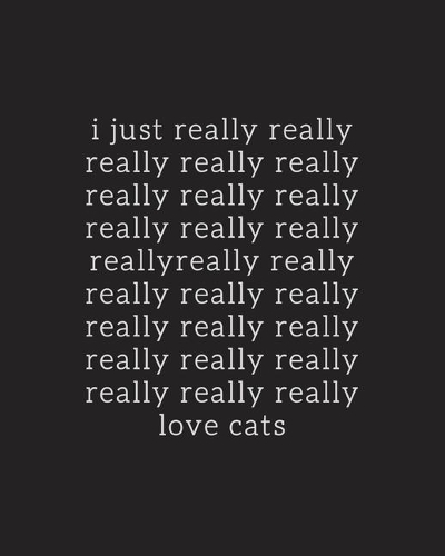 I Just Really Really Really Love Cats Journal