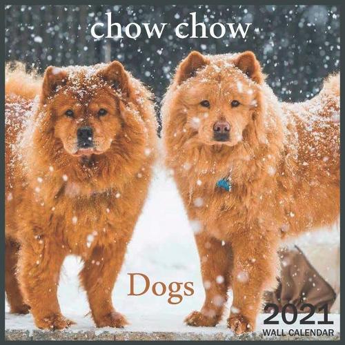chow chow: 2021 Wall & Office Calendar, 12 Month Calendar