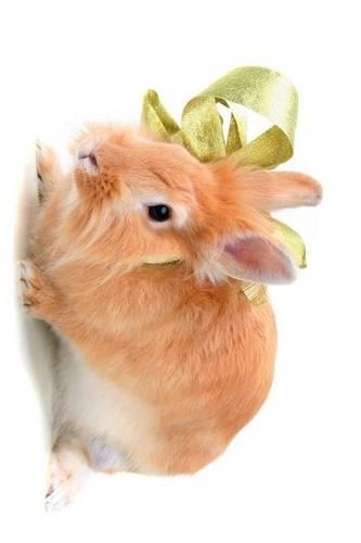 Side Profile of a Cute Little Bunny Rabbit with a Green Bow: Blank 150 Page Lined Journal for Your Thoughts, Ideas, and Inspiration(English)