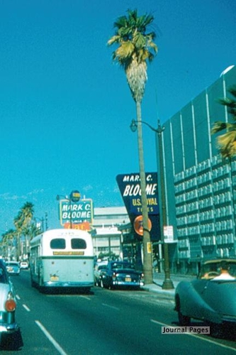 Journal Pages - Kitty (Bullet Journal)