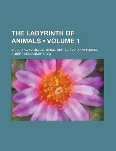 The Labyrinth of Animals (Volume 1); Including Mammals, Birds, Reptiles and Amphibians