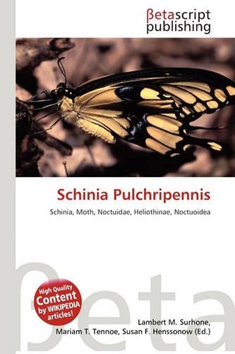 Schinia Pulchripennis: (English)