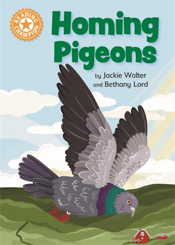 Reading Champion: Homing Pigeons: Independent Reading Orange 6 Non-fiction(Reading Champion)